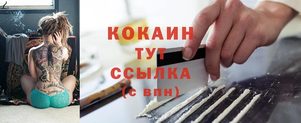 ГАЛЛЮЦИНОГЕННЫЕ ГРИБЫ Рославль